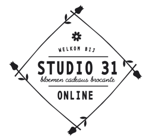 logo studio 31